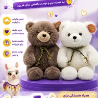 عروسک خرس تدی مهربون